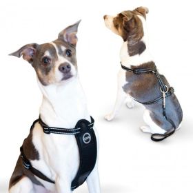 Travel Safety Pet Harness (Color: Yellow and Black Polka Dot Ruffle: Black)