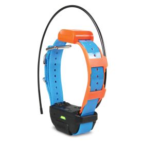 Pathfinder TRX Tracking Only Collar (Color: Yellow and Black Polka Dot Ruffle: Blue)