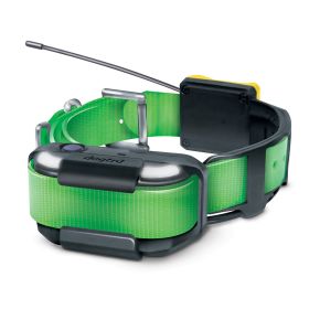 Pathfinder2 Extra Receiver Collar (Color: Yellow and Black Polka Dot Ruffle: Green)