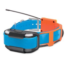 Pathfinder2 TRX Extra Receiver Collar (Color: Yellow and Black Polka Dot Ruffle: Blue)