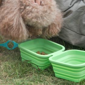 Silicone Collapsible Pet Bowl Double Portable Travel Bowl Equipped with Aluminum Hook Clip (Color: Yellow and Black Polka Dot Ruffle: Green)