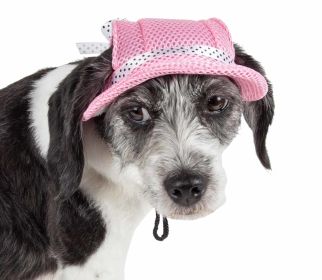 Pet Life 'Sea Spot Sun' Uv Protectant Adjustable Fashion Mesh Brimmed Dog Hat Cap (Color: Yellow and Black Polka Dot Ruffle: Pink, size: medium)