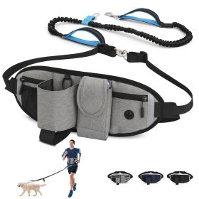 Hands Free Dog Leash with Waist Bag for Walking Small Medium Large Dogs;  Reflective Bungee Leash with Car Seatbelt Buckle and Dual Padded Handles;  A (Leash: 1 dog, Color: Yellow and Black Polka Dot Ruffle: Grey)