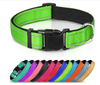 Adjustable Reflective Nylon Webbing Dog Collar (Option: Fluorescent Green-L)
