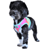 American River Choke Free Dog Harness Ombre Collection - Beach Party