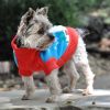 Dog Cable Knit 100% Cotton Sweater    Ugly Snowman