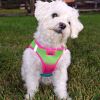 American River Choke Free Dog Harness Ombre Collection - Cotton Candy