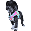 American River Choke Free Dog Harness Ombre Collection - Beach Party