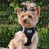 American River Solid Ultra Choke Free Dog Harness - Solid American River - Black