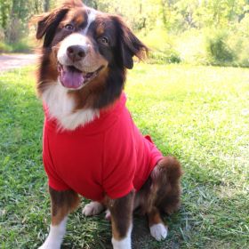 Flex-Fit Hoodie- RED (size: 2X-Large)