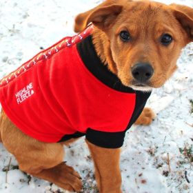 Highline Fleece Coat-Red and Black With Rolling Bones*LC=Large Chest (size: Size 12LC)