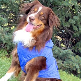 Packable Raincoat - Blue (size: X-Large)