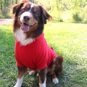 Flex-Fit Hoodie- RED (size: large)