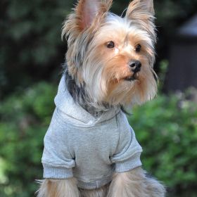 Flex-Fit Hoodie- Gray (size: small)