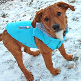 Weekender Dog Sweatshirt Hoodie - Light Blue (size: X-Small)